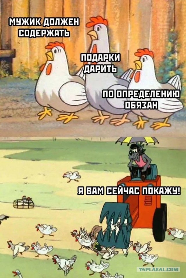 Немного забавных картинок от 23.10.2024