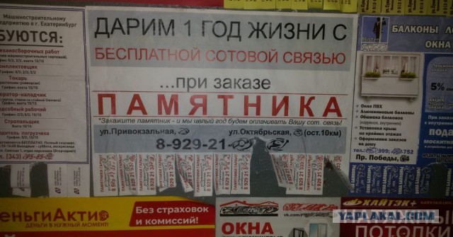 В защиту алкоголя