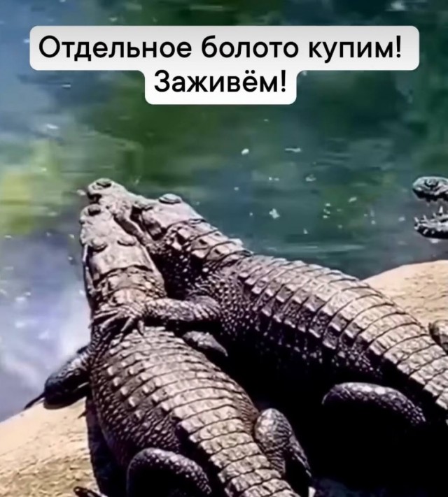 Так себе картинки 28.01.25