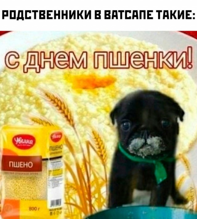 Веселые картинки в пятницу (14.02)