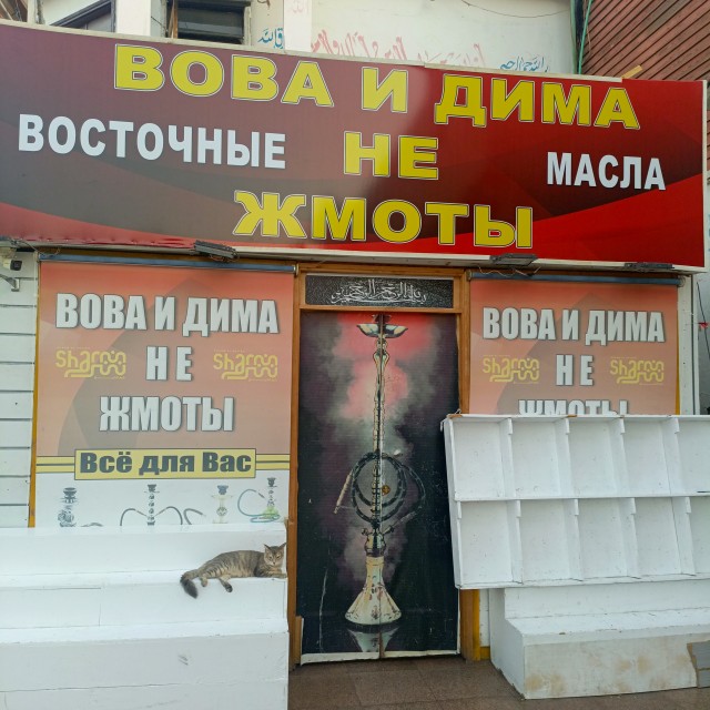 Мужик зимует в Египте в отелях все включено за 5-10$ в сутки