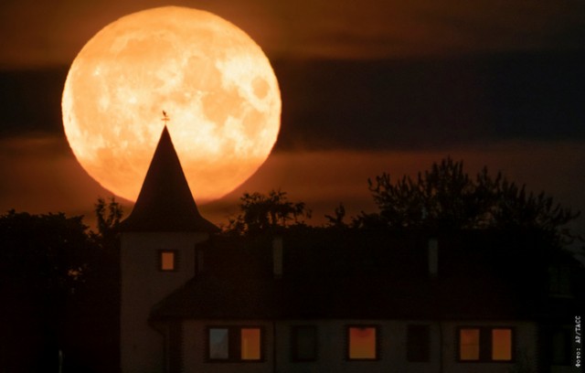 Литературная беседка v.1