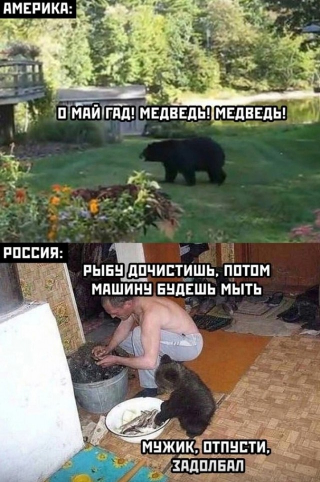 Так себе картинки 28.03.25
