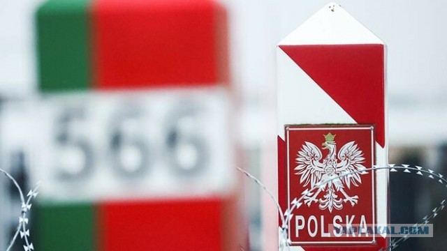 Польшу обвинили в жестоком обращении с мигрантами на границе с Беларусью