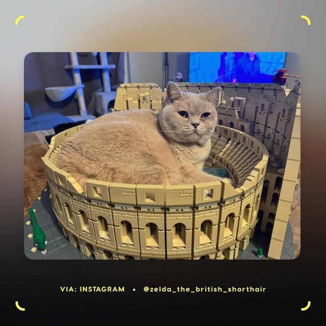 Ну хоть для чего-то он оказался полезен