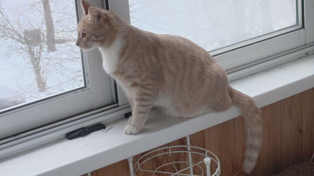 Запределье