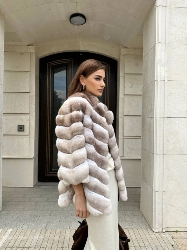 Почешиншилла