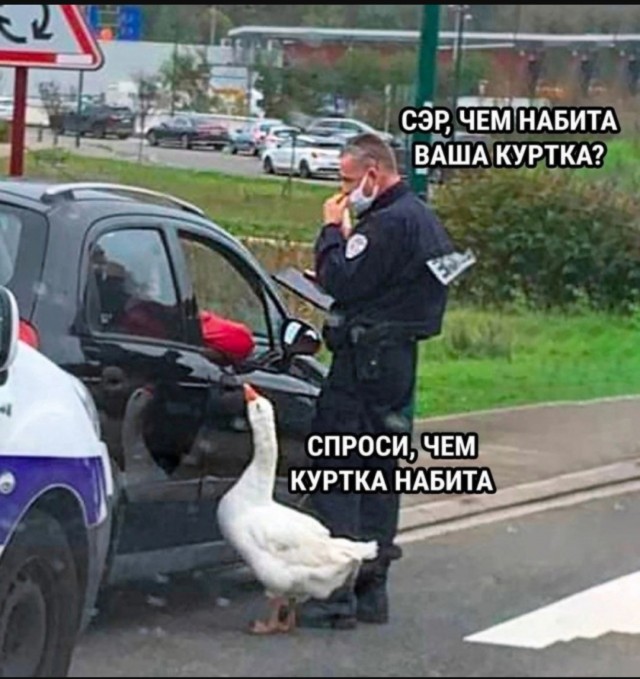 Интернет мемы на утро субботы