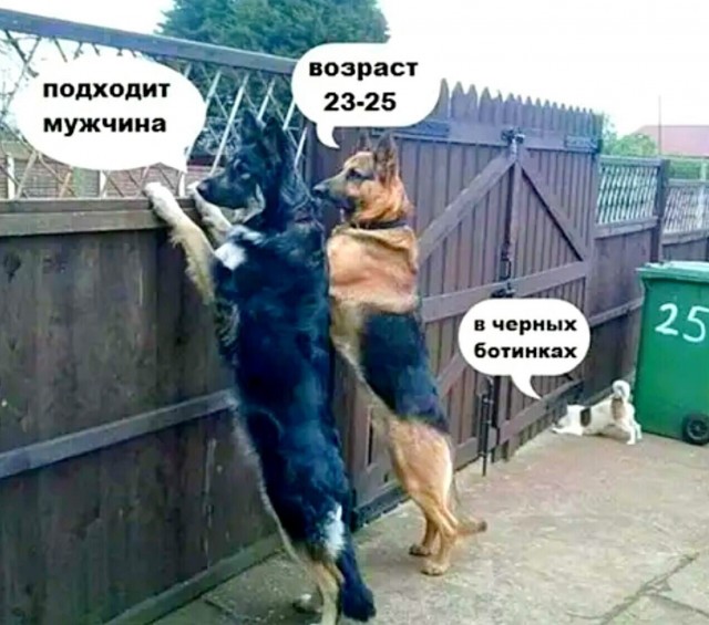 Так себе картинки 25.05.25