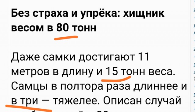 Самый грозный хищник океана не акула — его боятся даже косатки