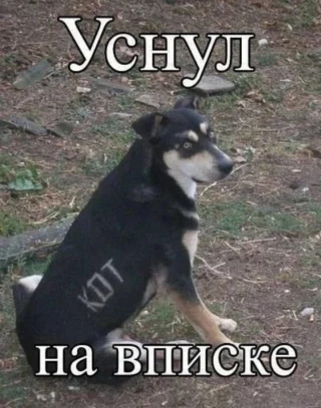 Пришло время!