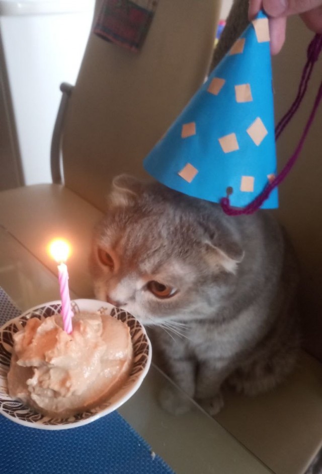 День рождения был 10 августа.Одно фото.