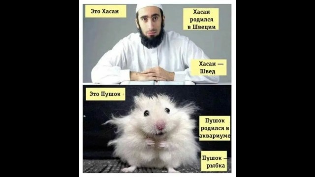 Почему скандинавы считают русских очень странными соседями, а мы их