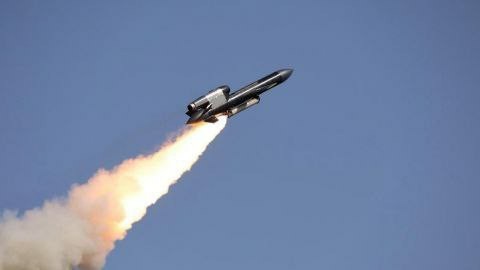 Украина начала использовать новые крылатые ракеты «Фламинго» для ударов вглубь России, — The Economist