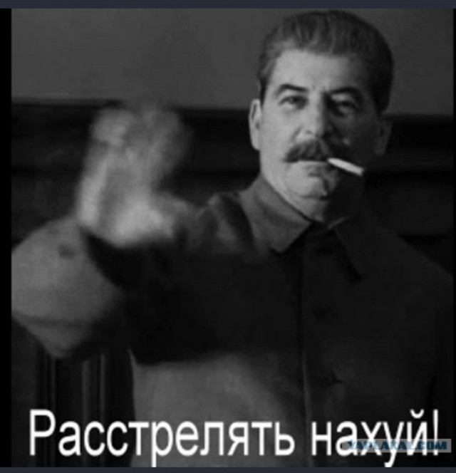 Депутат от Единой России в городе Дубна предлагает дубненцам, которые не хотят благоустойства соснового бора мигрировать