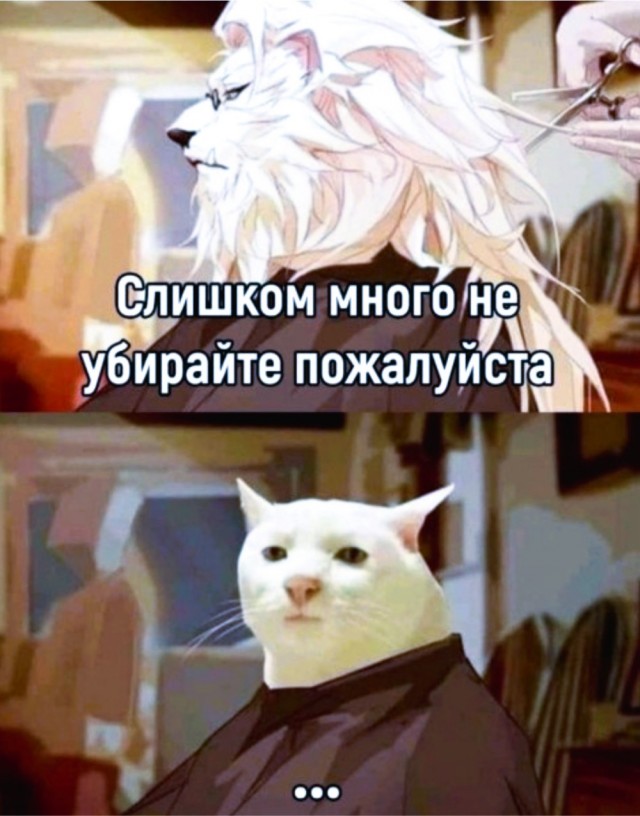 Прикольные и просто красивые картинки 12.12.2025