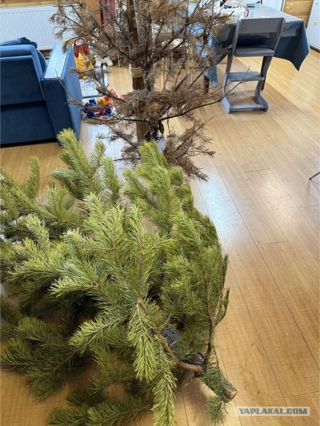 Кажется, пора менять.