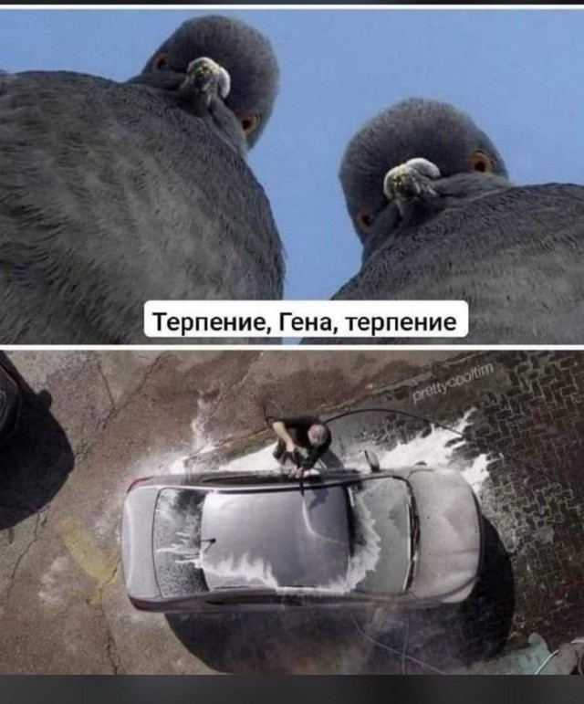 Картиночки, баянчики 22 марта