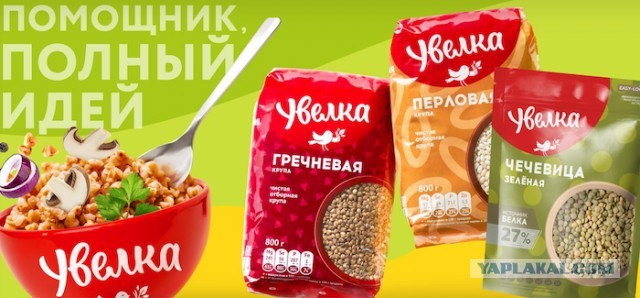 Депутат-миллионер из списка Forbes Филиппов ушёл на СВО