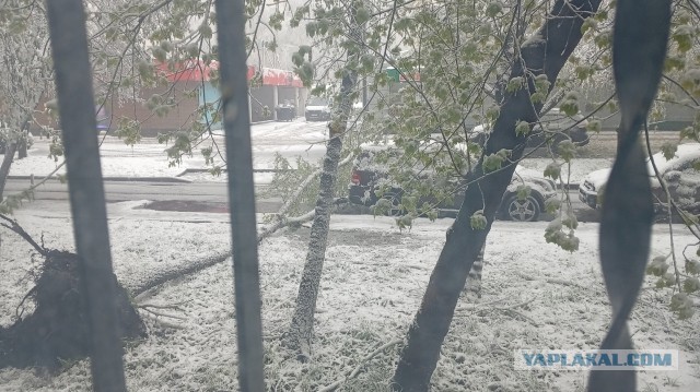 Утро в Москве