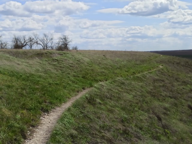 В поисках старой степи