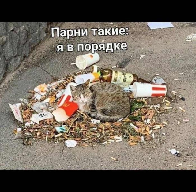 Картинки для деградации 219 (разной степени свежести)