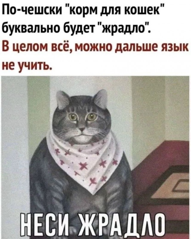 Картинки для деградации 249 (разной степени свежести)