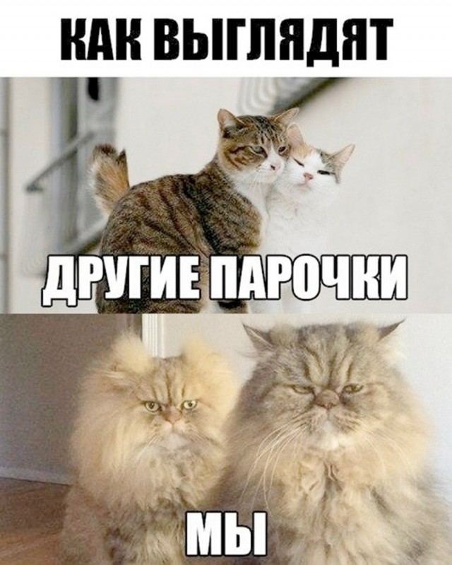 Так себе картинки 07.09.26