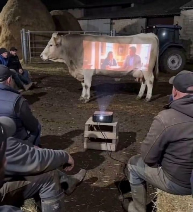 Капля юмора дальше...