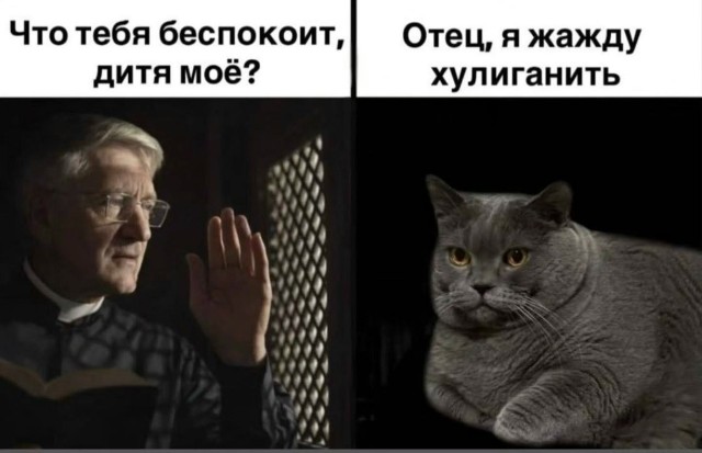 Так себе картинки 03.10.26