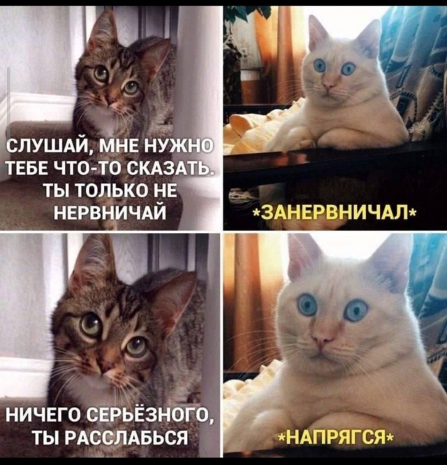 Деградинки