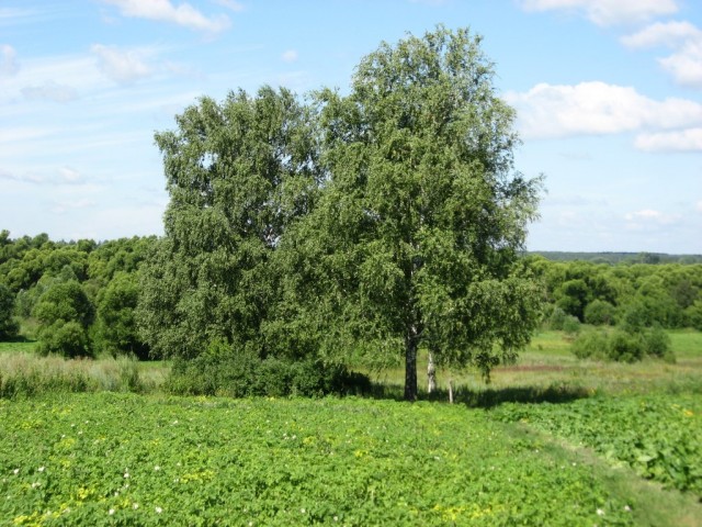 Поездка на Тамбовщину