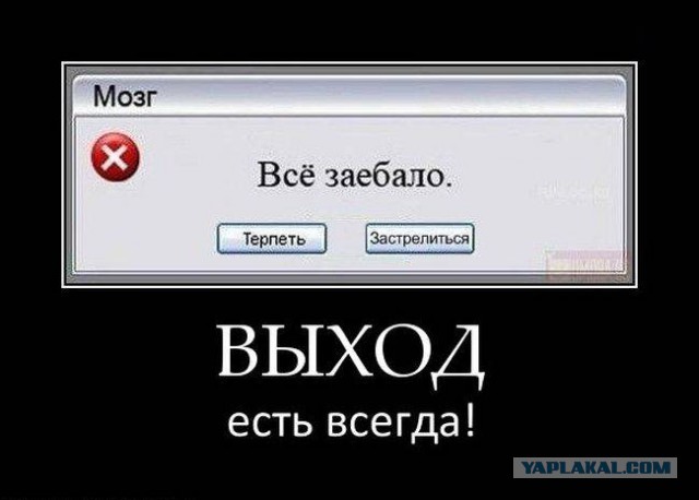 Картинок из сети немножко