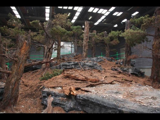 За кадром. «Хо́ббит: Нежданное путешествие»