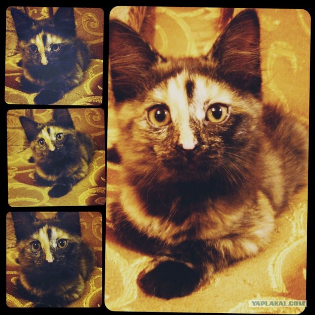 Самое полезное место в доме