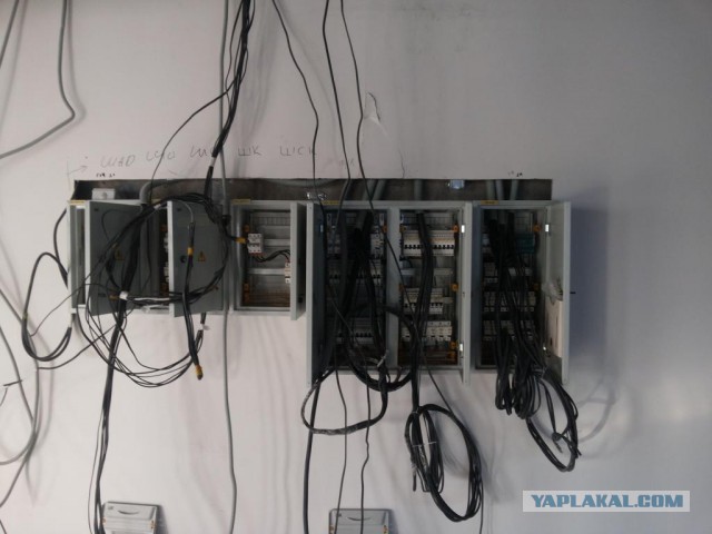 Приветы с рабочих мест ЯПовчан