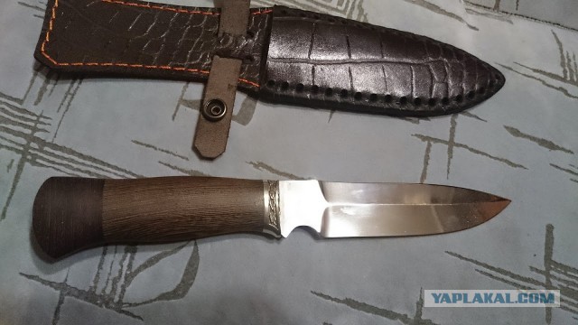 Когда коту делать нечего