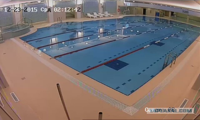 За что я люблю китайцев