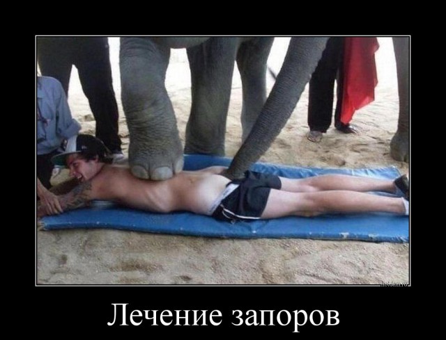 Слон-пылесос