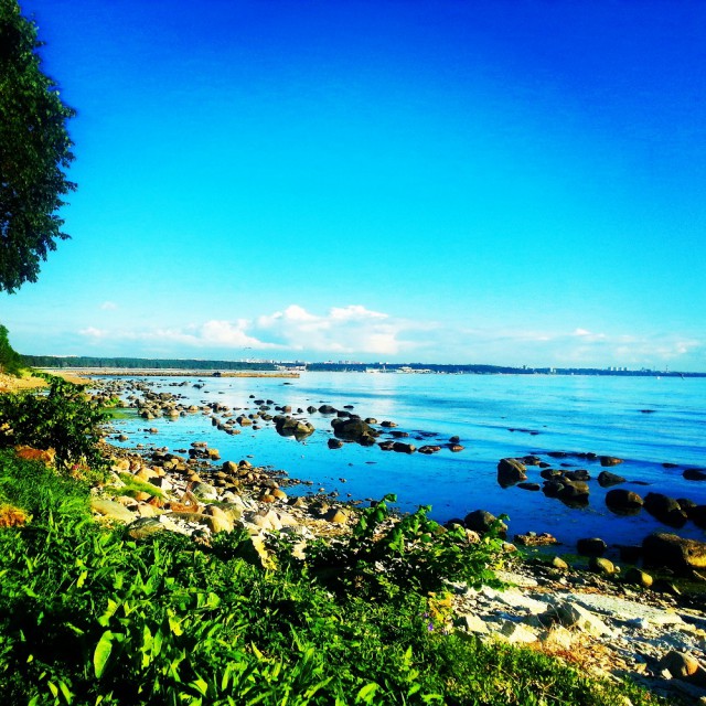 Я узнал, что у меня есть огромная семья