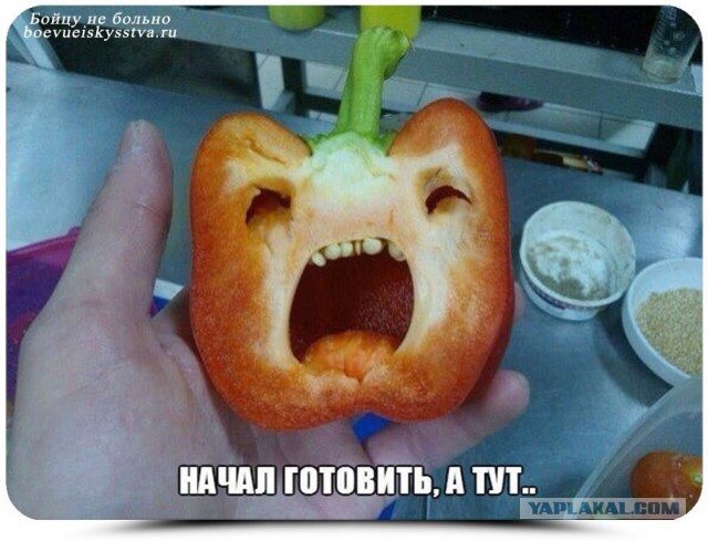 Прикольные картинки и демотиваторы