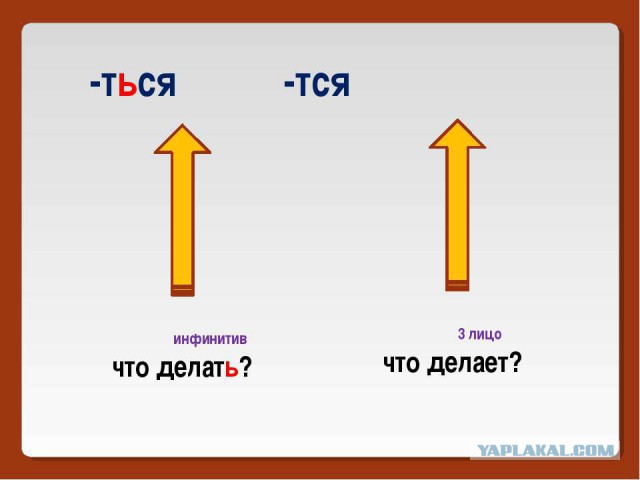 Петербурженка испугалась полицейских, и теперь ей грозит уголовное дело