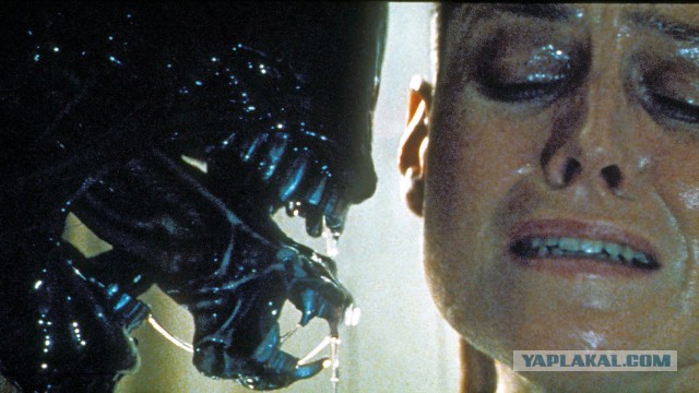 Фото актеров и музыкантов, из которых харизма плещет через край