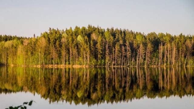 Моменты, запечатлённые на фото и просто позитив 5