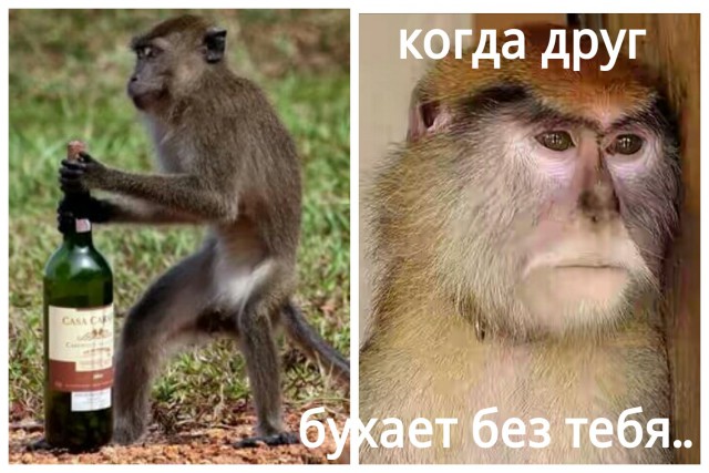 Соцсети - и смех и грех