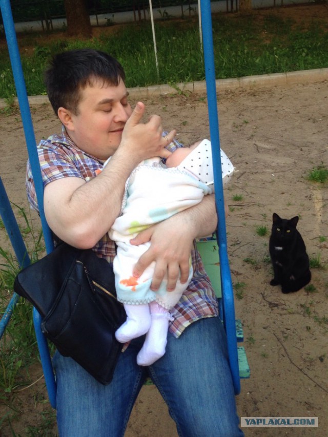 Котовторник 13.06.2017