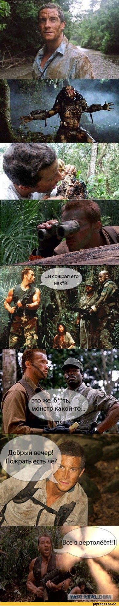 Отгрыз ухо, сломал челюсть