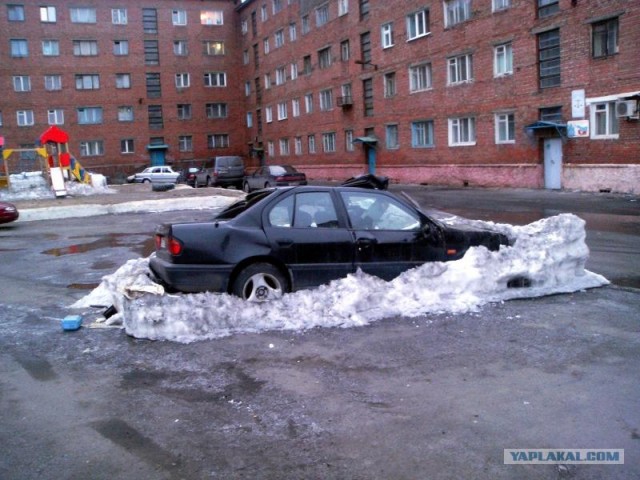 Подснежники гробы. г. Норильск