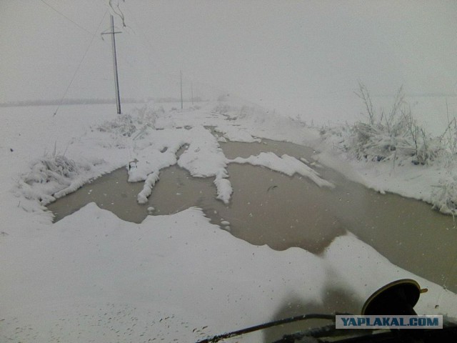 Командировка. В леса