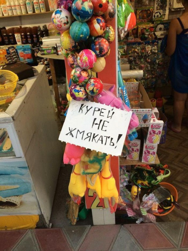Прикольные картинки